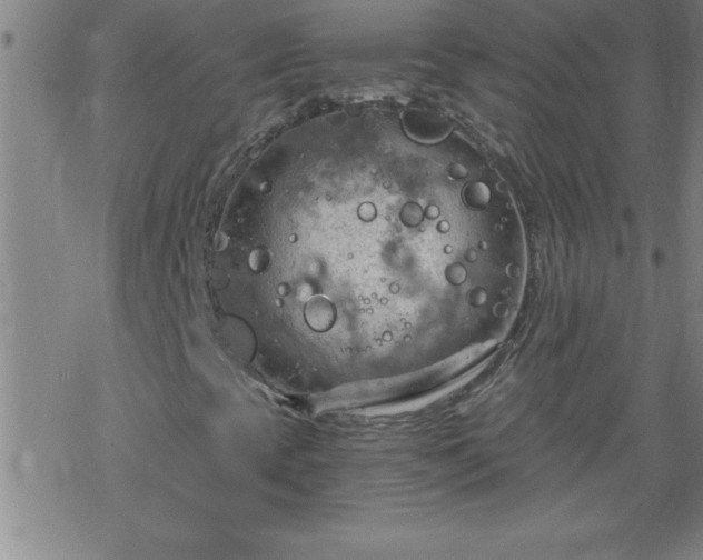 X0000068901393200605122048