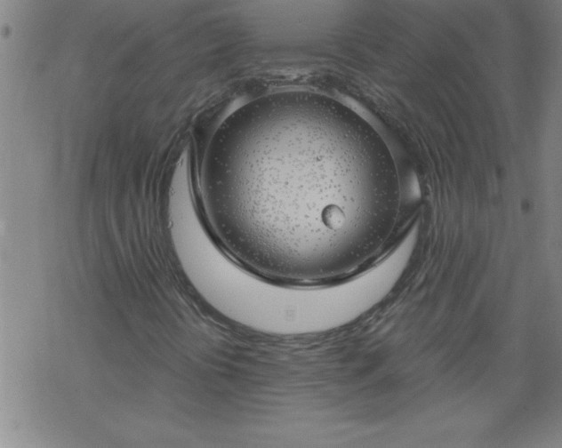 X0000068901394200605122048