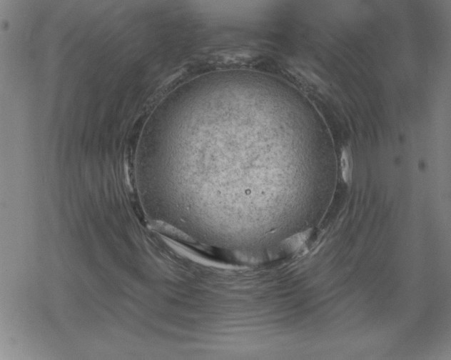 X0000068901395200605122048