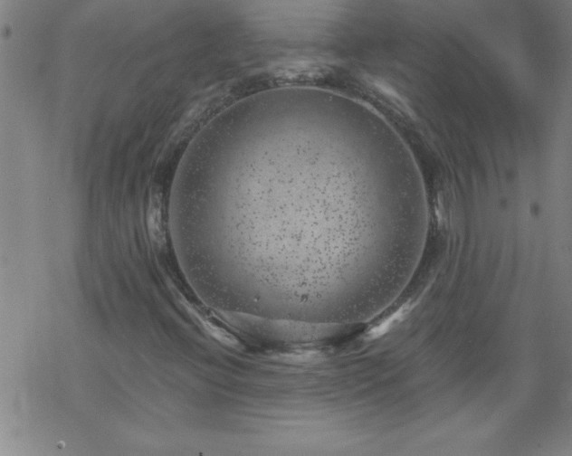 X0000068901396200605122048