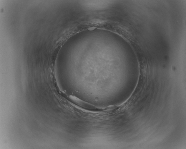 X0000068901397200605122048