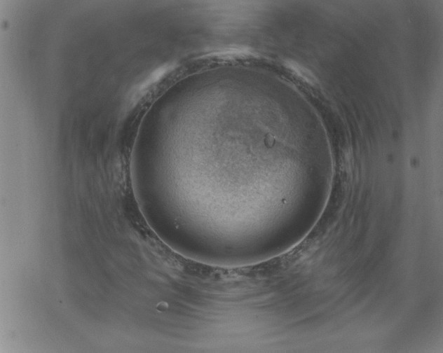 X0000068901398200605122048