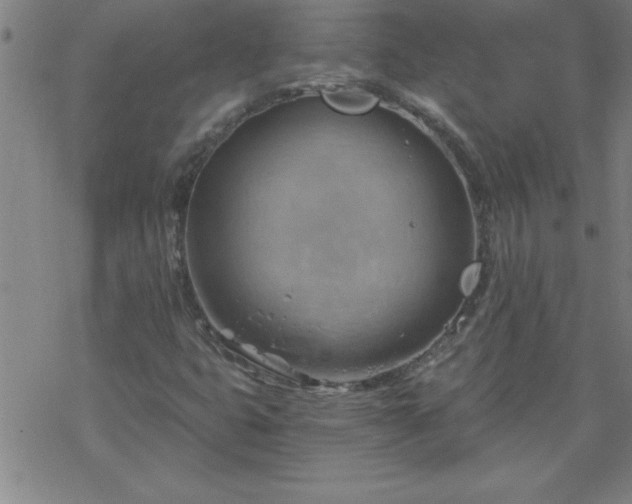 X0000068901399200605122048