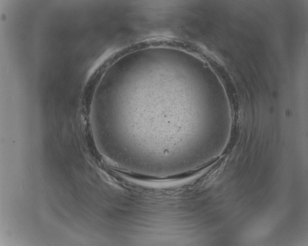 X0000068901400200605122048