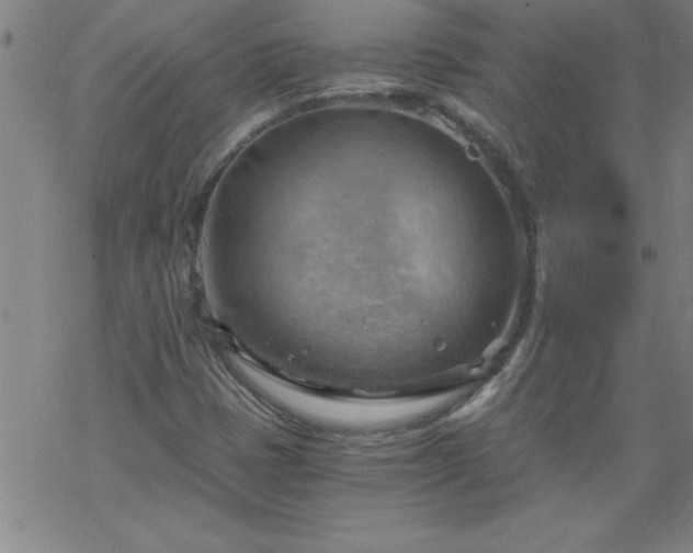 X0000068901401200605122048