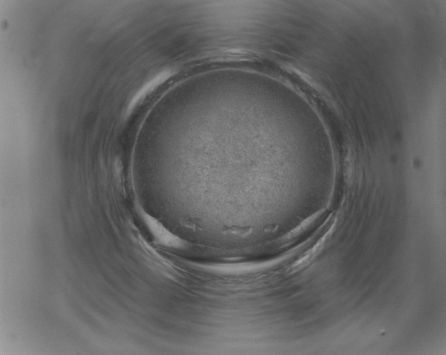 X0000068901402200605122048