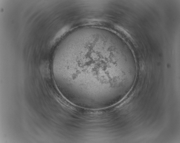 X0000068901403200605122048