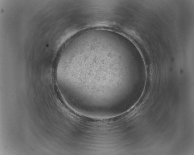 X0000068901404200605122048