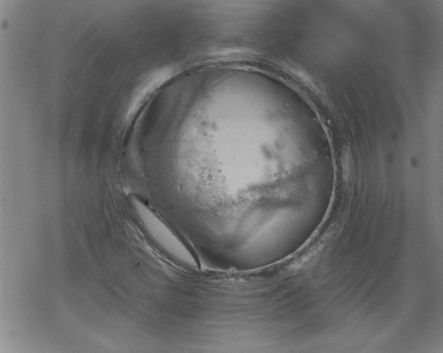 X0000068901405200605122048