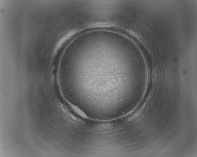 X0000068901406200605122048