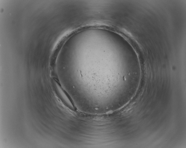 X0000068901408200605122048