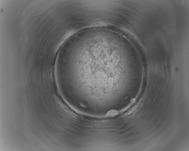 X0000068901409200605122048