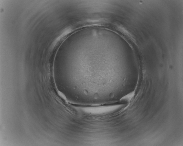 X0000068901411200605122048