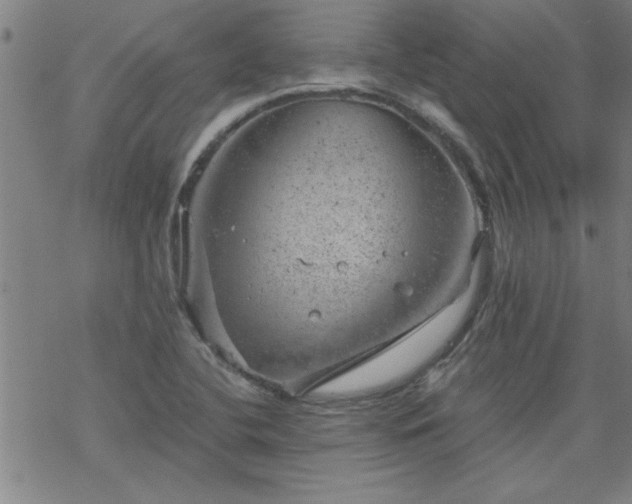 X0000068901412200605122048