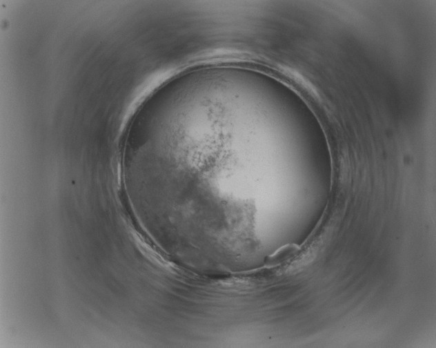 X0000068901413200605122048