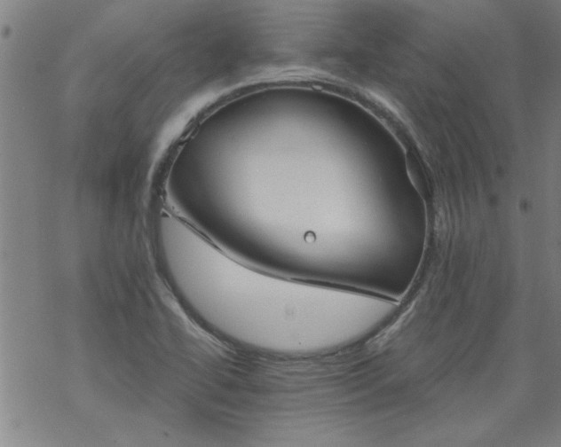 X0000068901414200605122048