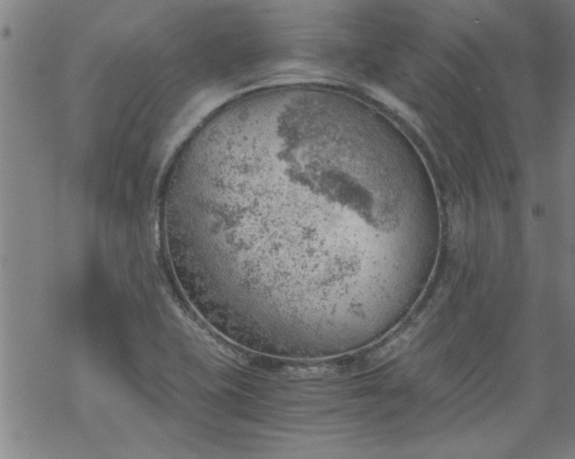 X0000068901415200605122048