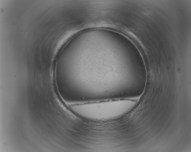 X0000068901416200605122048