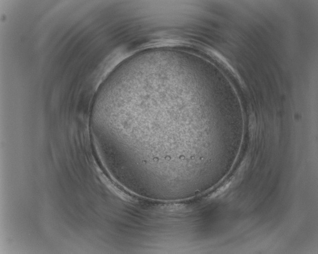 X0000068901417200605122048