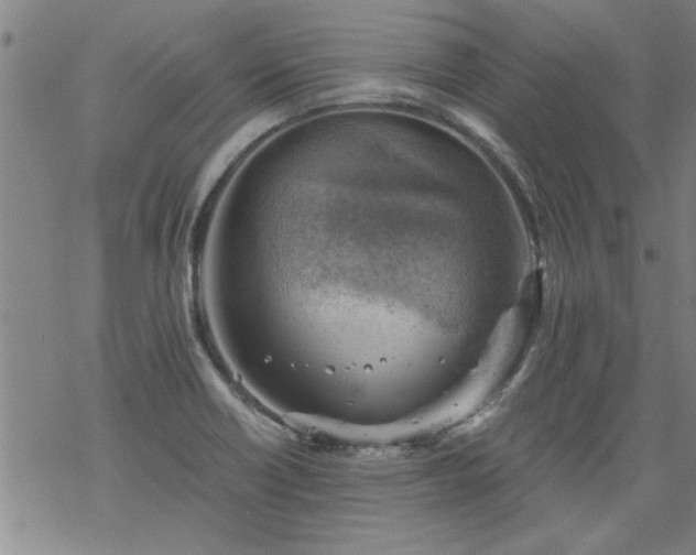 X0000068901418200605122048