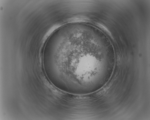 X0000068901419200605122048