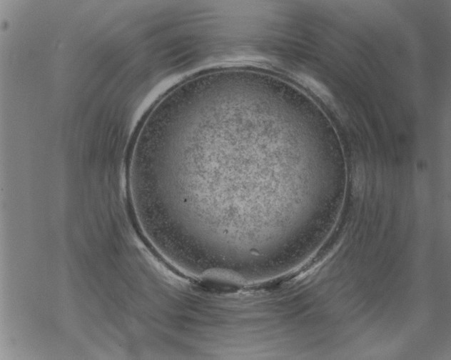 X0000068901420200605122048