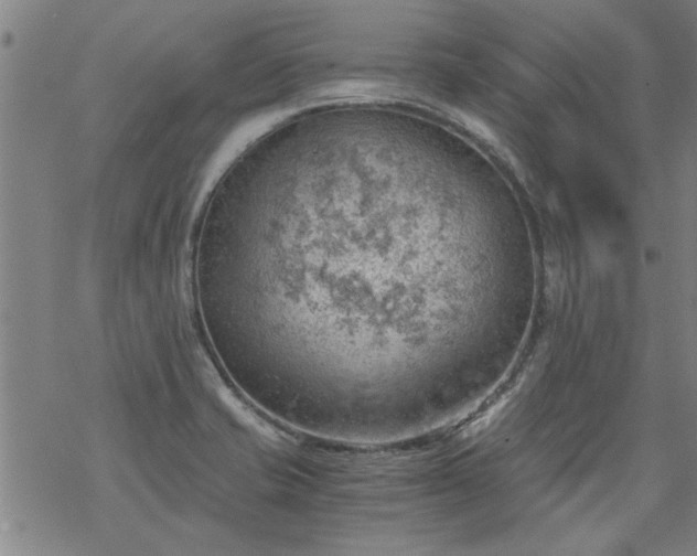 X0000068901421200605122048