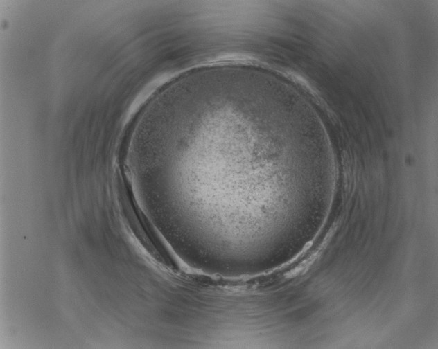 X0000068901422200605122048