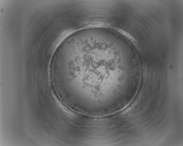 X0000068901423200605122048