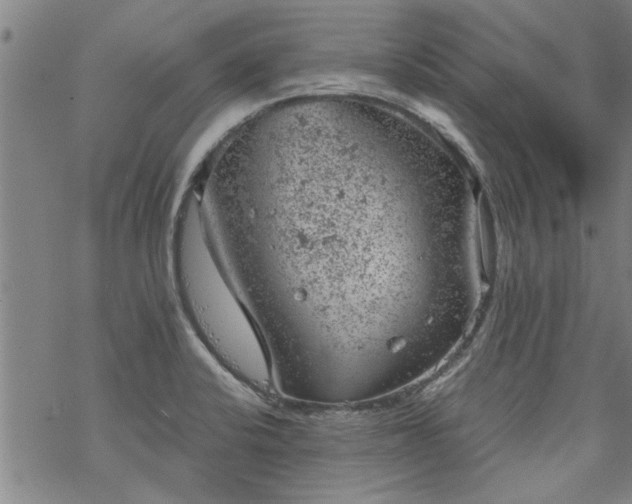 X0000068901424200605122048