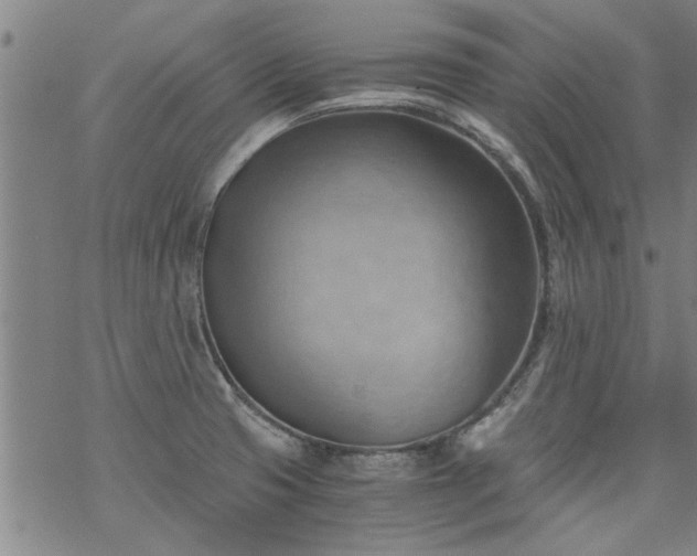 X0000068901425200605122048