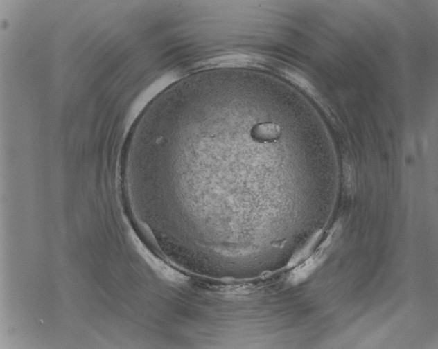 X0000068901426200605122048