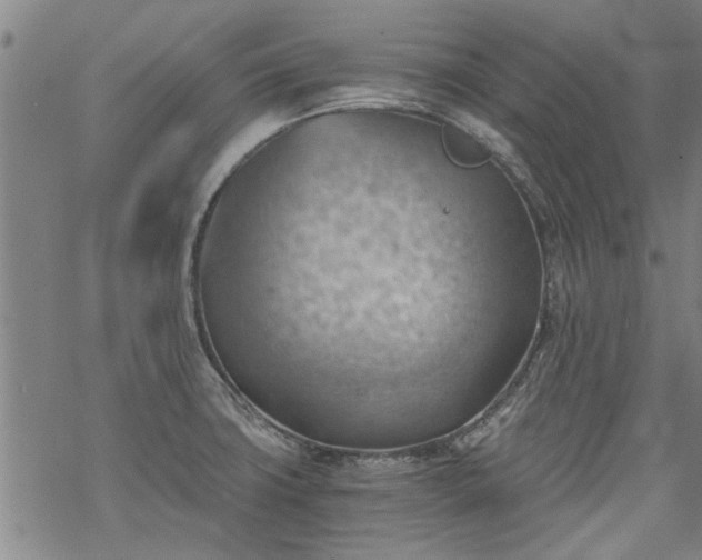 X0000068901427200605122048