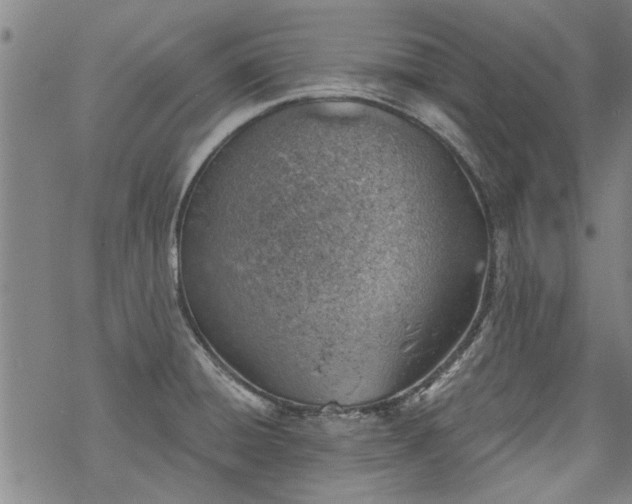 X0000068901428200605122048