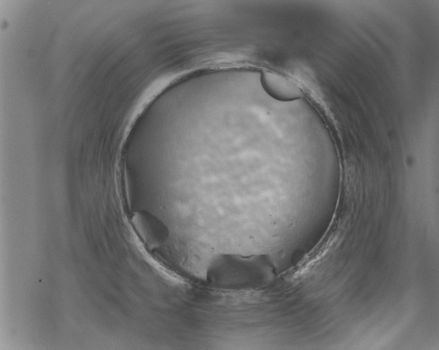 X0000068901429200605122048