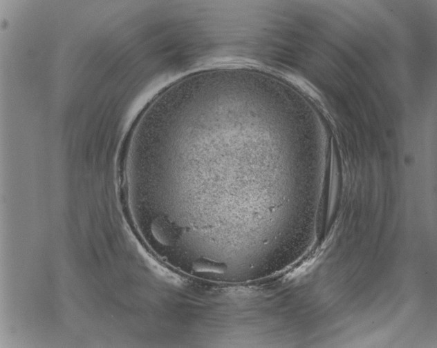 X0000068901430200605122048