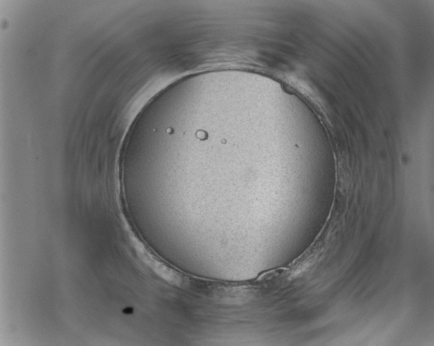 X0000068901431200605122048