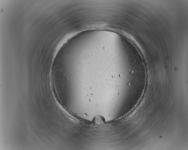 X0000068901432200605122048