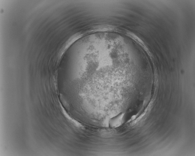 X0000068901433200605122048