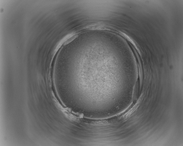 X0000068901434200605122048