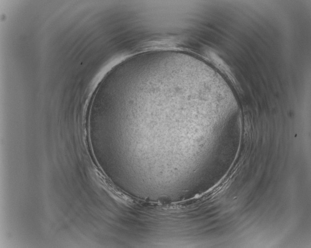 X0000068901435200605122048