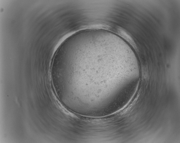 X0000068901436200605122048