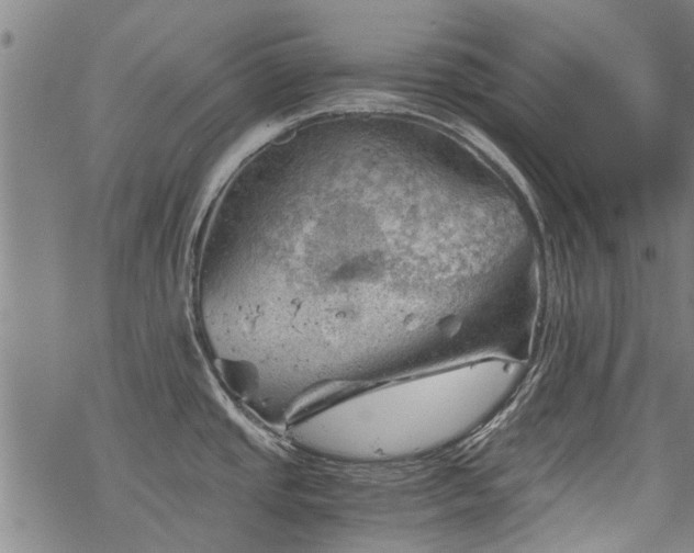 X0000068901437200605122049