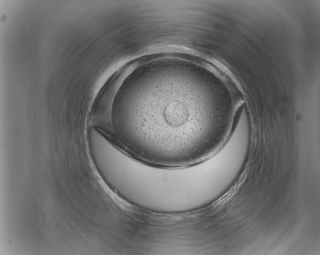 X0000068901438200605122049