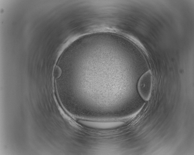 X0000068901439200605122049