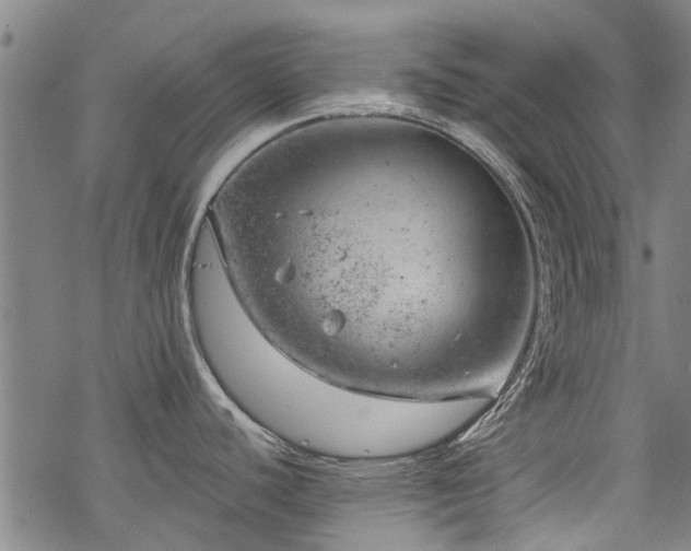 X0000068901440200605122049