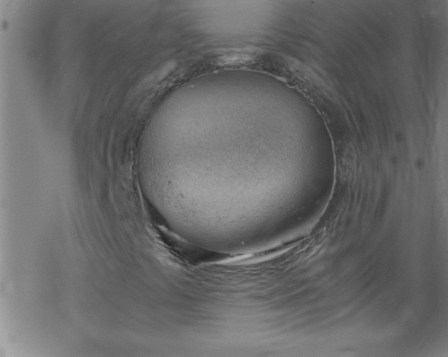 X0000068901441200605122048