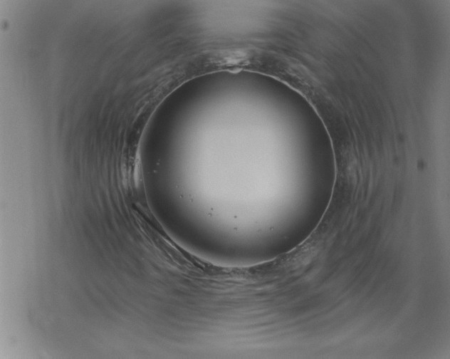 X0000068901442200605122048