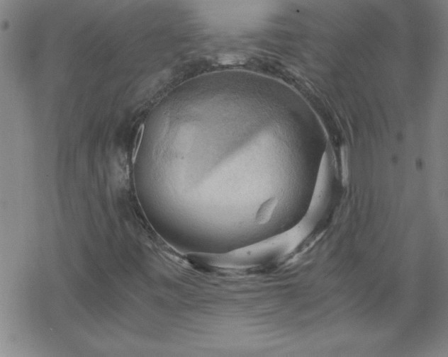 X0000068901443200605122048