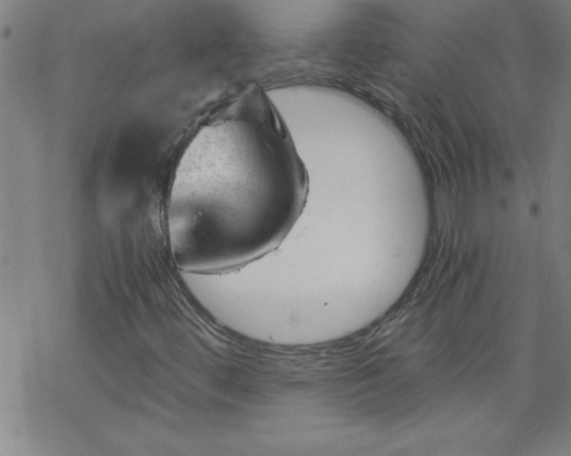 X0000068901444200605122048